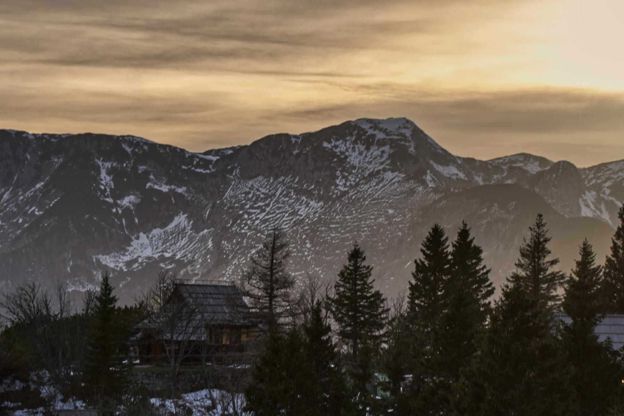 Koca Kronca - Velika Planina Stahovica Exterior foto